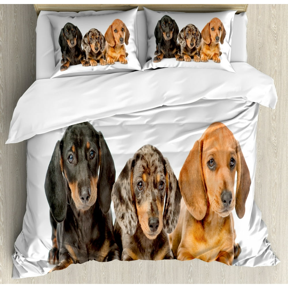 Dachshund Duvet Cover Set Queen Size, Different Color Cute Sausage Dog Puppies Lying Together, 3