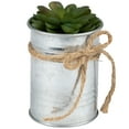 thumbnail image 3 of Northlight 7" Mini Artificial Sprouting Rose Succulent in Tin Can Planter with Twine Bow, 3 of 6