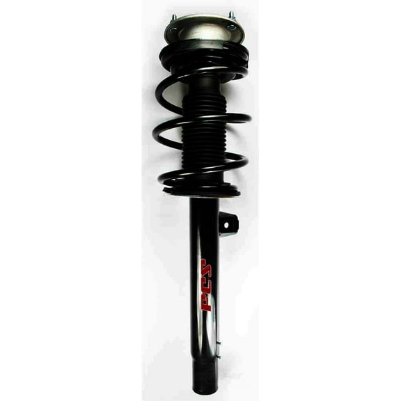 Suspension Strut and Coil Spring Assembly