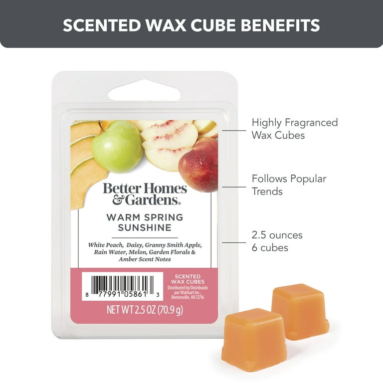 6 Best Wax Melts for a Relaxing Home Ambiance