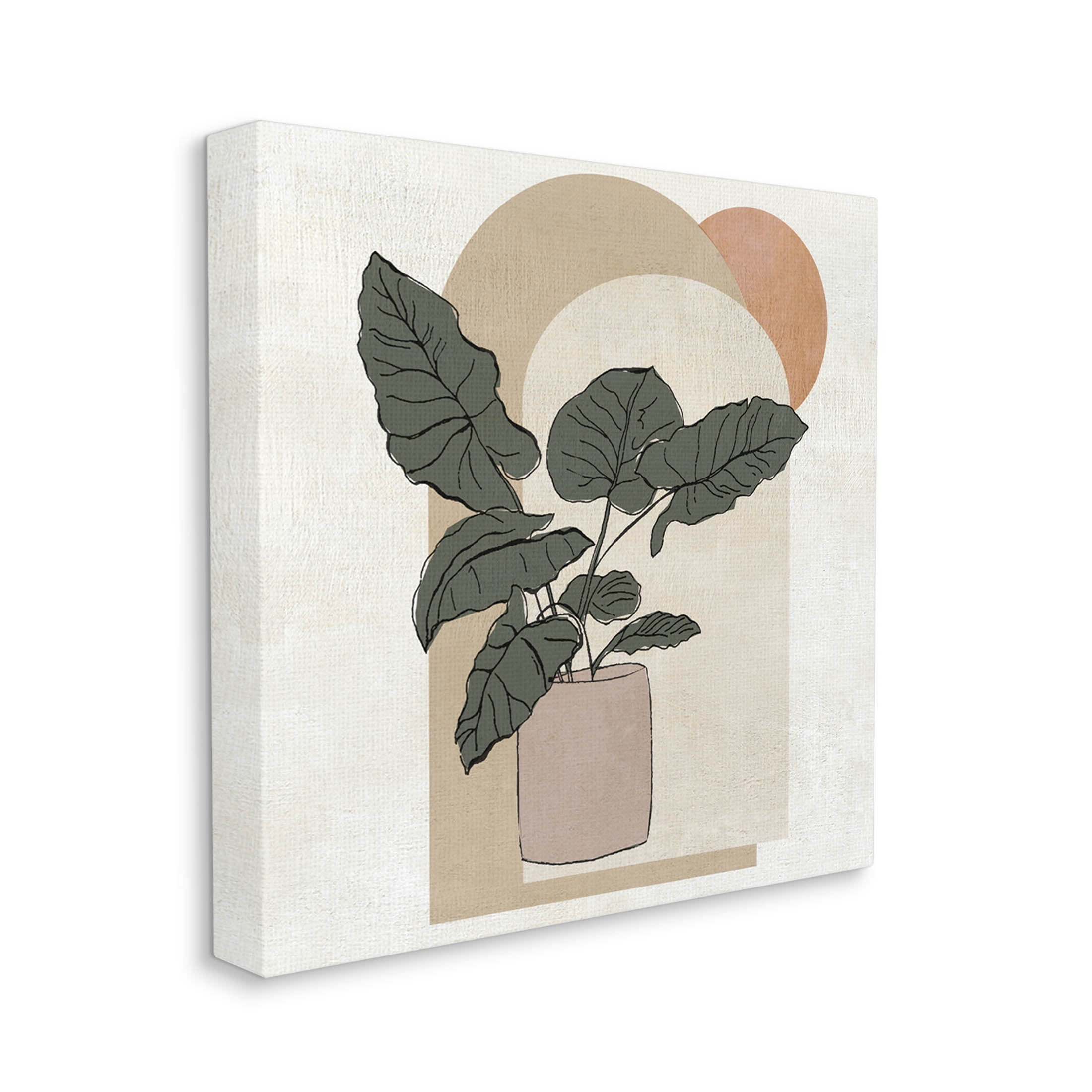 Potted Plant Arched Geometric Shapes Botanical & Floral Graphic Art Gallery Wrapped Canvas Print Wall Art
