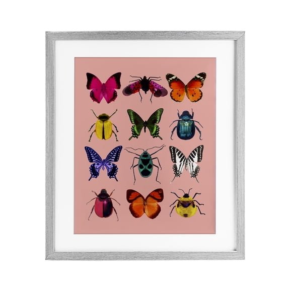 Stupell Industries Contemporary Colorful Bug Species on Pink Gray Framed Print Under Glass, 17 x 21, by LISH Creative