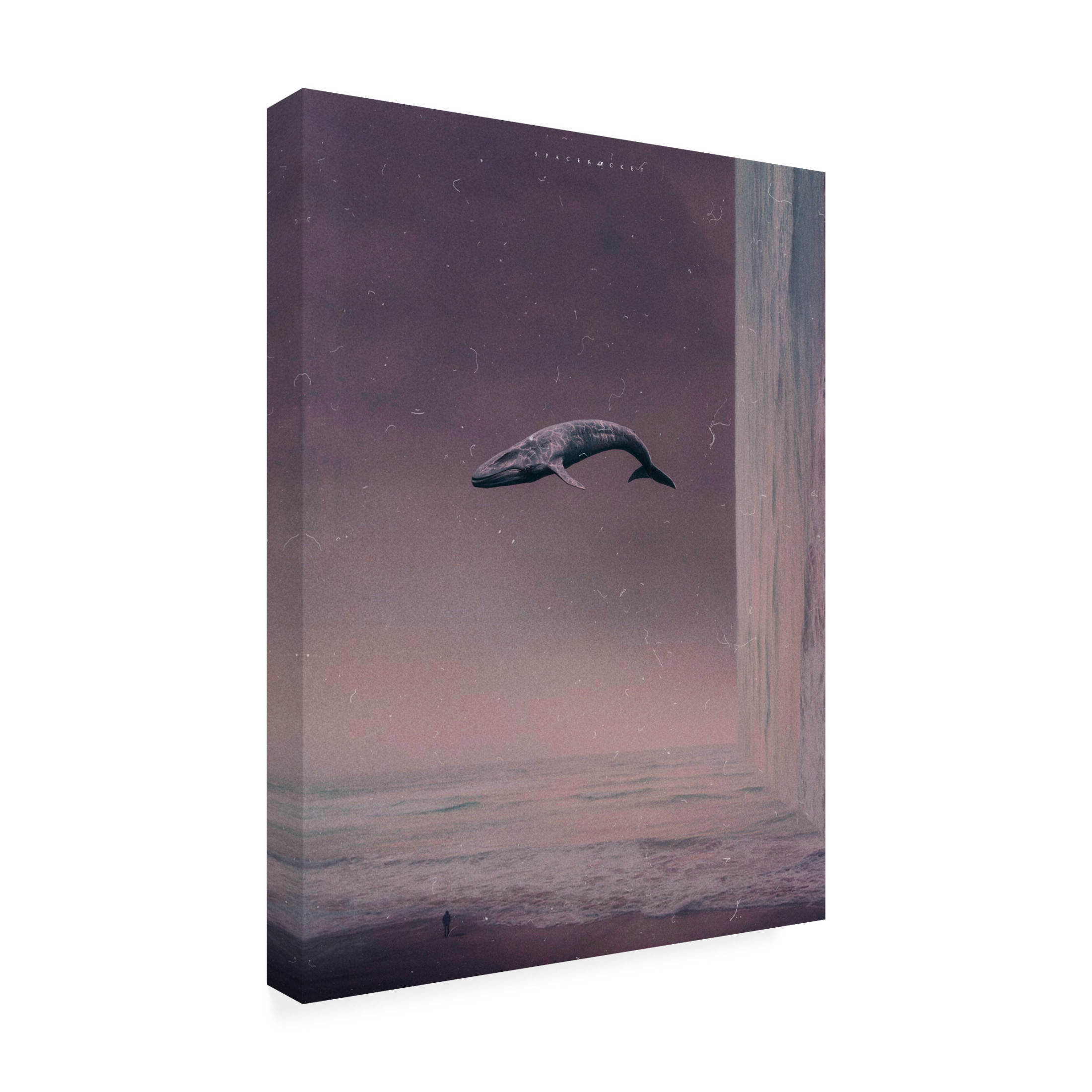 Trademark Fine Art spacerocket art 453 Canvas Wall Art