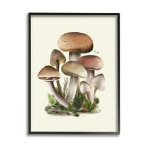 Stupell Industries Brown Woodland Mushrooms Botanical & Floral Painting Black Framed Art Print Wall Art, 16 x 20