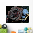 thumbnail image 1 of Black Rose Wall Mural by Wallmonkeys Peel and Stick Graphic (48 in W x 36 in H) WM48005, 1 of 4
