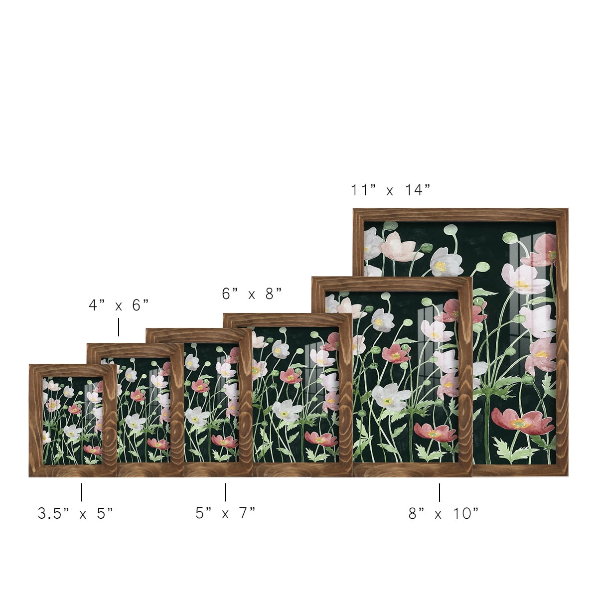 Anemone Dance I -Framed Print w/glass-Walnut