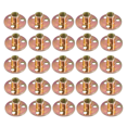 thumbnail image 1 of M10 Iron Plate Nut Three-Hole Flange Nuts Coupling Thread Furniture Fastener Lock Sofa Accessory Fastener T Nuts, 1 of 6