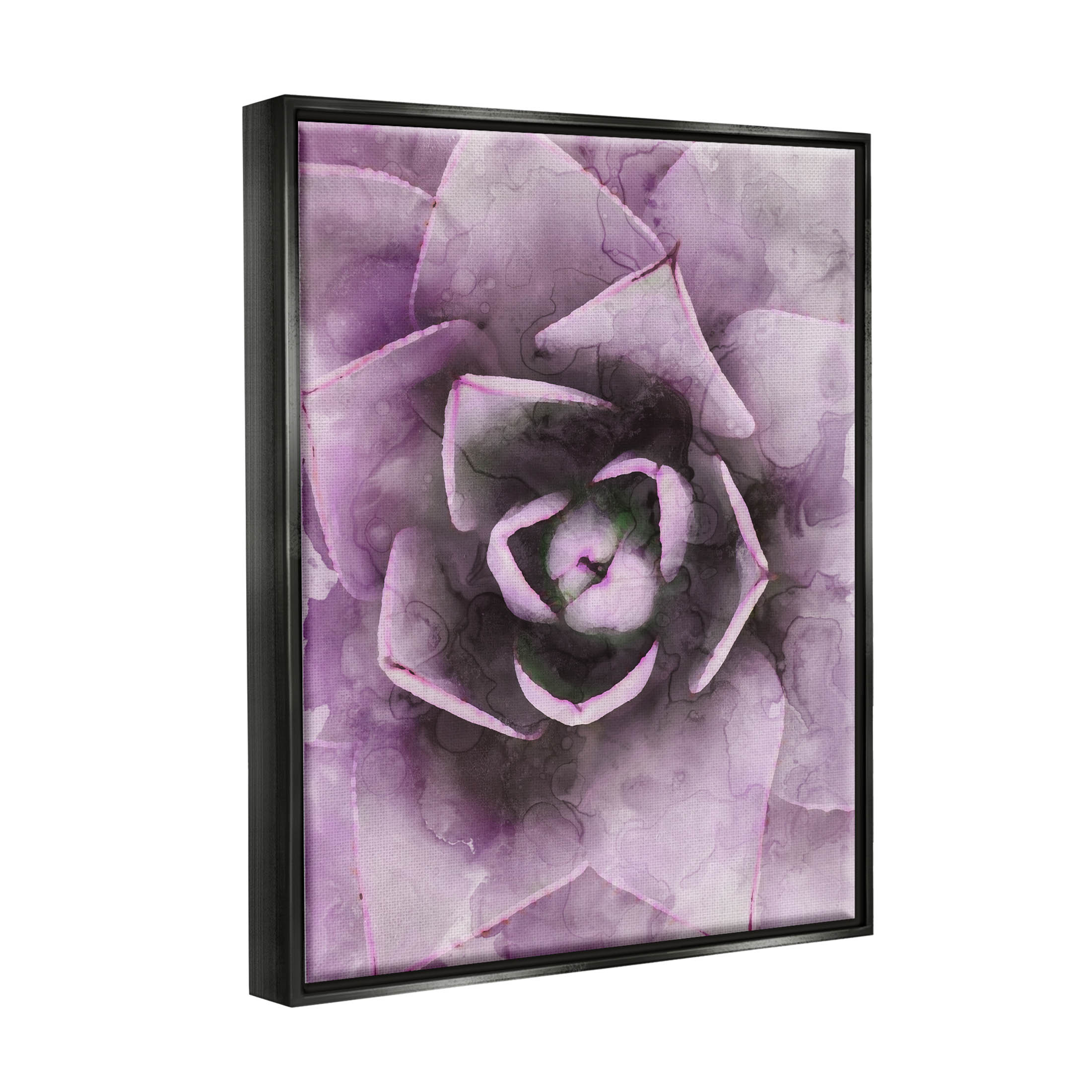 Modern Purple Succulent Leaves Botanical & Floral Graphic Art Jet Black Framed Art Print Wall Art