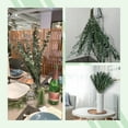 thumbnail image 5 of Dried Preserved Eucalyptus Plant Bundle,Real Natural 12 Stems Eucalyptus Leaves, 17'' Fresh Eucalyptus for Shower, Aromatherapy, Flower Vase,Arrangements Wedding,Home Greenery Decor (Green), 5 of 8