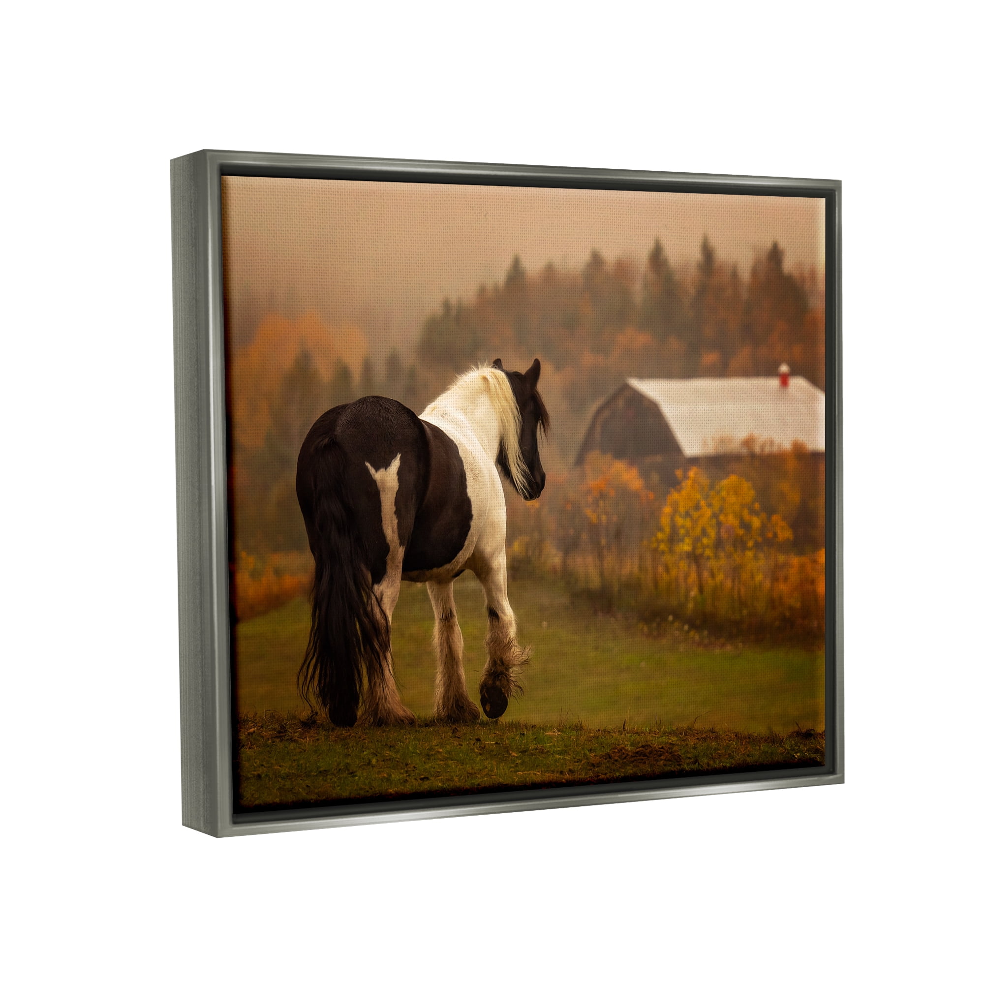 Stupell Industries Horse Overlooking Barn Landscape Photography Gray Floater Framed Canvas Art Print Wall Art, 31 x 25