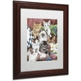 thumbnail image 2 of Trademark Fine Art 'Cuddly Kittens' Canvas Art by Jenny Newland, White Matte, Wood Frame, 2 of 4
