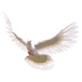 thumbnail image 2 of Pájaro Artificial Plástico Falso Paisaje Decoración en Miniatura Jardín Hogar Estatuilla Navidad 3 Colco Pájaro artificial, 2 of 7