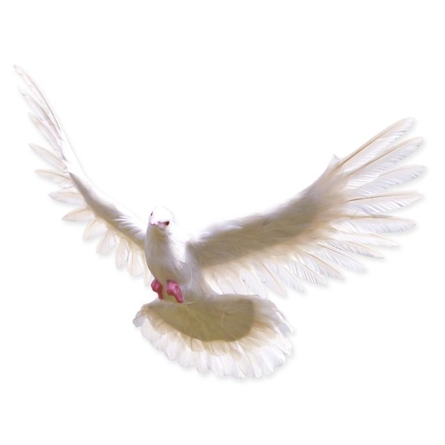 Ave artificial grande, taxidermia realista, decoración para el hogar o el jardín, 22 cm - 47 cm (a elegir) 3