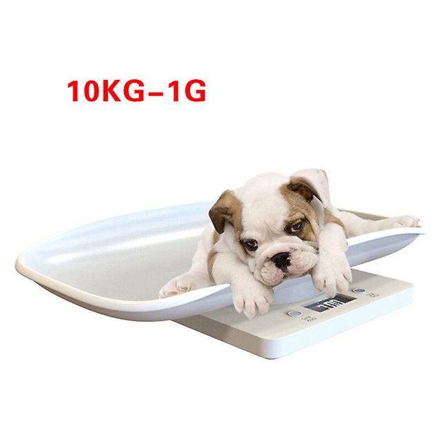 Báscula digital Sincero para bebés o mascotas hasta 10 kg color Blanco
