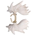 thumbnail image 2 of 1 diadema de asta para decoraciones de Halloween., 2 of 3