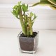 thumbnail image 4 of Piedras decorativas RIFNY, grava negra pulida, 0,3 pulgadas, 900 g, 4 of 6