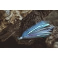thumbnail image 3 of 6th Sense – Finesse Flock Hair Jig Bass Fishing Lure, Subtle Finesse Profile, 3D Head, (2/0) Hook, 3 of 4