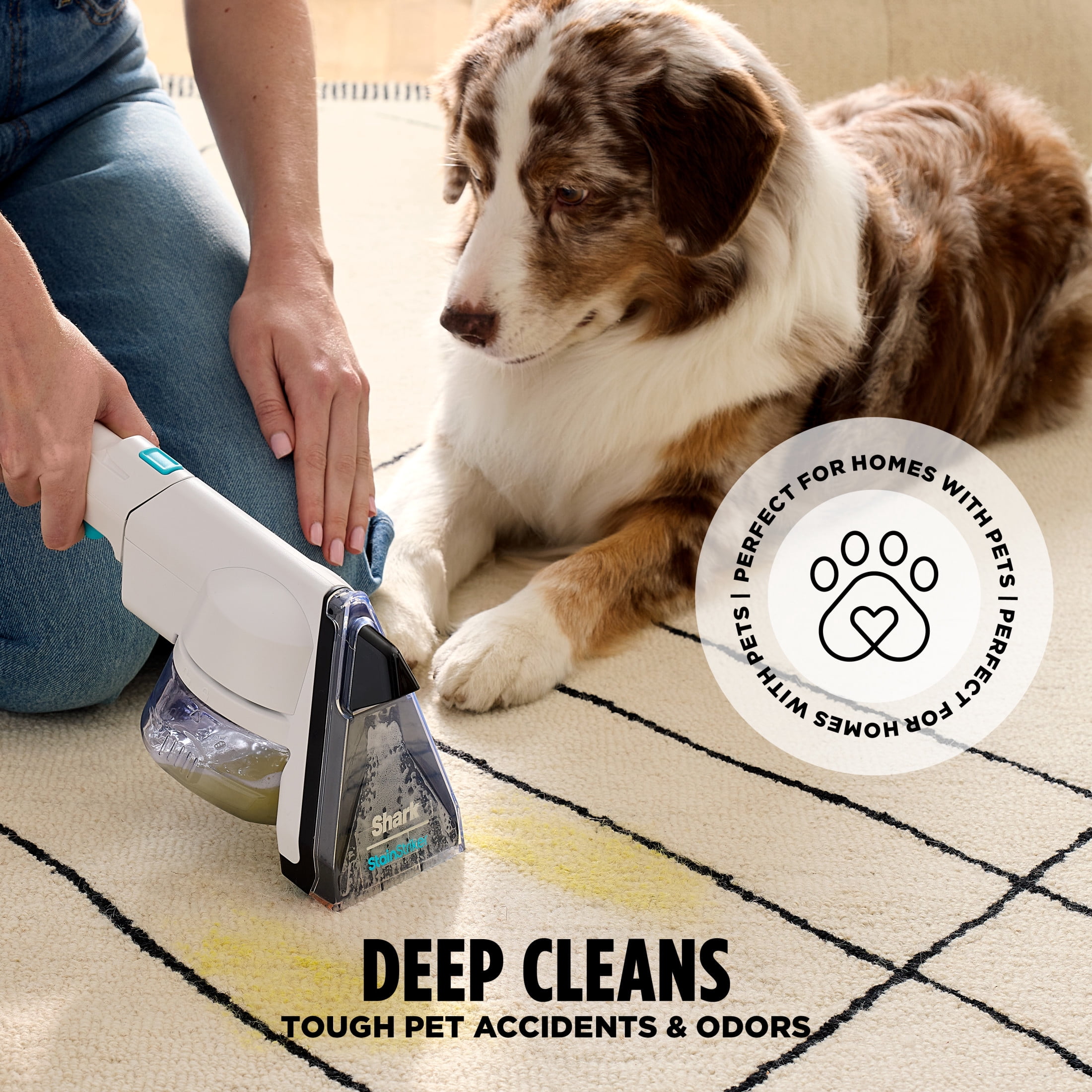Shark CarpetXpert with StainStriker Upright Carpet & Area Rug Cleaner, Upholstery, Pet Friendly, Pet Mess Extractor Tool, Carpet Shampooer, 3 Tools, Cleaning Solutions, EX201 White