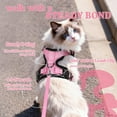 thumbnail image 5 of rabbitgoo Cat Harness and Leash for Walking, Escape Proof Soft Adjustable Vest Harnesses for Cats, Easy Control Breathable Reflective Strips Jacket, Pink, 5 of 9