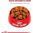 thumbnail image 2 of Royal Canin Size Health Nutrition Giant Breed Adult Dry Dog Food 30 lbs., 2 of 2