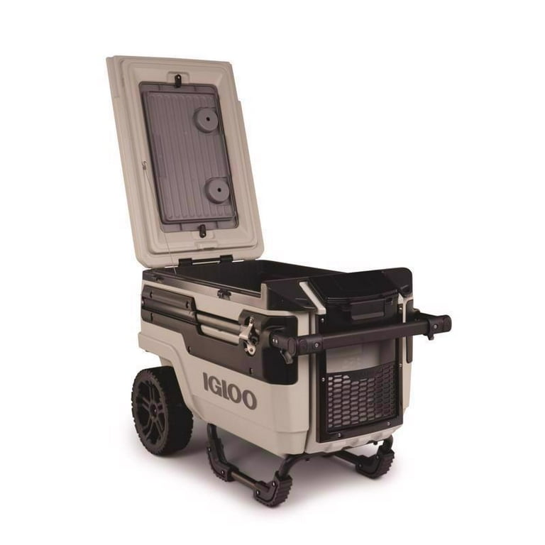 Body Fortress 100% Whey, Premium Strawberry Protein Powder, - Technical View