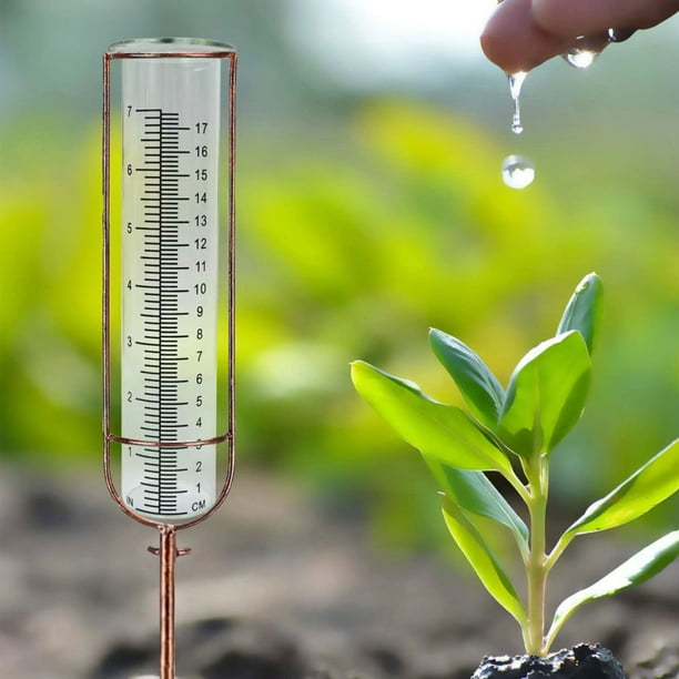 Outdoor Garden Rain Gauge Outdoor Two Readings Rain Gauge for Garden