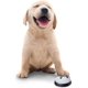 thumbnail image 2 of ZHAOCHENG Campana de entrenamiento para mascotas, timbre interactivo para perros y gatos para entrenarlos para ir al baño, paquete de 2, 2 of 5