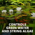 thumbnail image 4 of TetraPond AlgaeControl, Controls Green Water and String Algae in Ponds, 101.4 Oz., 4 of 7