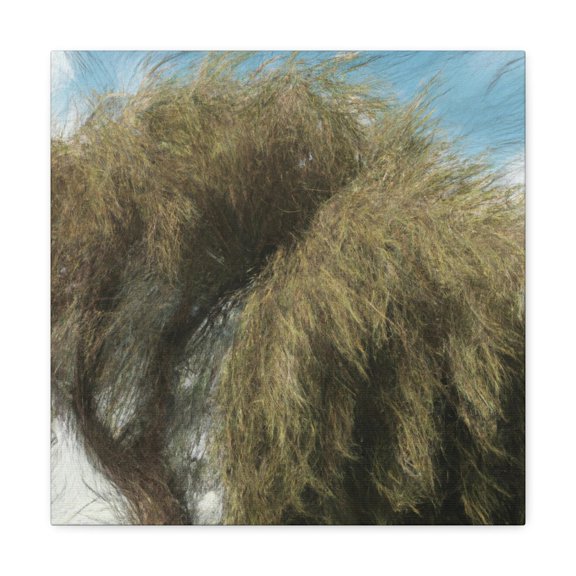 Willow Tree Whisperings - Canvas