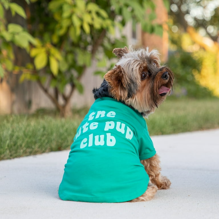 Cute dog t shirts 2025