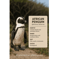 thumbnail image 2 of PuffPurrs Lifelike African Penguin Plush Toy, Cute Realistic Black Facial Mask Teddy Stuffed Animal, Black and White Plumage Unique Toy Gift, 29 CM/11 In, 2 of 7