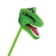 thumbnail image 5 of Safari Ltd. | Safariology Collection | Dark and Light Green T-Rex Snapper Toy 18, 5 of 5