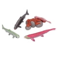 thumbnail image 2 of Growth Cycle Model  Material Safe Odorless Vivid Real Salmon Animal Life Cycle Model for Above 3 Years Old, 2 of 7
