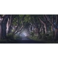 thumbnail image 3 of Gastager, Daniel 18x11 Black Modern Framed Museum Art Print Titled - The Dark Hedges, 3 of 5