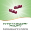 thumbnail image 3 of (Pack Of 3) Natures Way Beet Root 100 Capsule, 3 of 7