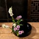 thumbnail image 4 of 2 Piezas De Plástico Ikebana Suiban Florero Bonsai Contenedor Negro 23 / 28cm Sunnimix Jarrón japonés ikebana, 4 of 8