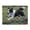 500 Pieces, variant on 500-Piece Wooden Jigsaw Puzzle for Adults - Border Collie Running Field , Challenging Family Art Project, Unique Home Wall Decor Gift