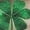 #7_Green,Saving, variant on St Patricks Day Shirt Women 3D Lucky Shamrock Graphic Tee Tops Casual 3/4 Sleeve T Shirts 2025 Soft Round Neck Loose Fit Tunics(Green,XXXXL)