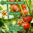 thumbnail image 5 of CO2 Boost for Indoor Grow Tent- Natural Carbon Dioxide for Plants - XL Bucket, 5 of 6