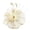 Beige, variant on Lumistal Womens Fascinators Hats Tea Party Hats for Women Feather Veil Derby Hats for Women Headpiece Hat Clip Headband for Wedding Cocktail Accessories Halloween Decoration Khaki One Size