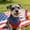Multicolor Size M K5, variant on Staron Independence Day Pet Bandana, Dog Holiday Triangle Scarf with Tassels, Patriotic Pet Neckwear for Dogs Cats July 4th Parades Parties