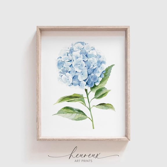 Blue Hydrangea Print, Flower, Botanical Wall Art, Floral Wall Art, Minimalist Home Decor, Home Decor #2307, 8x12 UNFRAMED