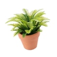 thumbnail image 1 of Casa de Muñecas en Maceta Planta Accesorios Sala de Estar Dormitorio Jardín de Hadas Bonsái Artificial CUTICAT Estilo B, 1 of 8