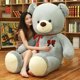 thumbnail image 1 of 60-100CM Large Teddy Bear Plush Toy Lovely Giant Bear Huge Stuffed Soft Animal Dolls Kids Toy Birthday Gift For Girlfriend Lover zhangyuxiang LED, 1 of 2