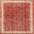 thumbnail image 1 of Ahgly Company Machine Washable Indoor Square Traditional Tangerine Pink Area Rugs, 3' Square, 1 of 1
