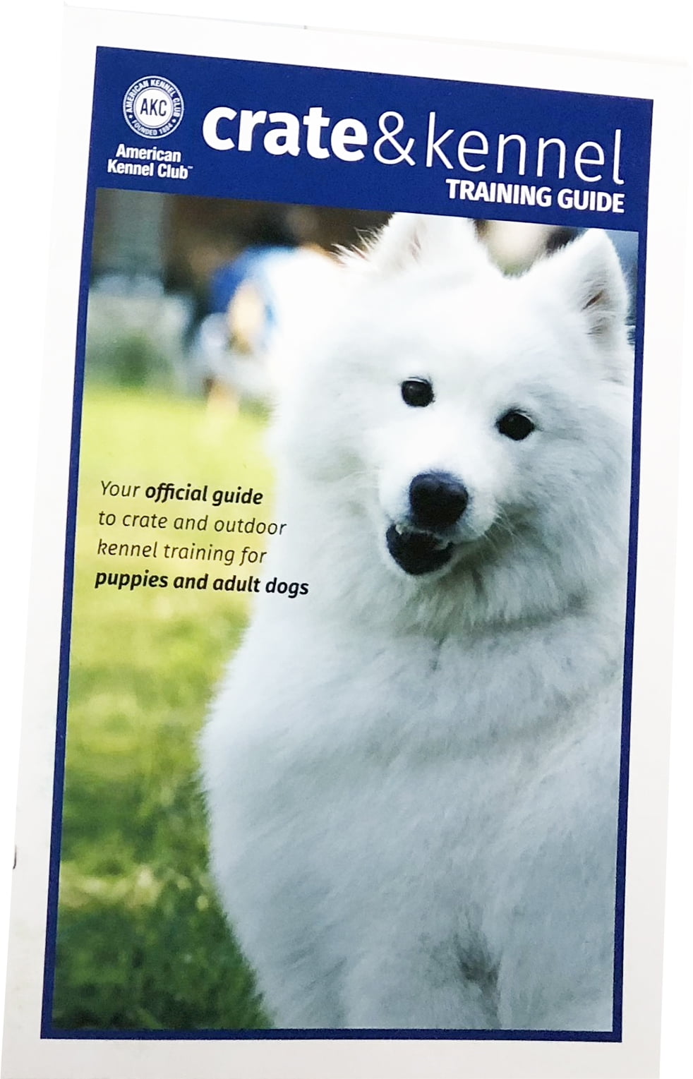 akc chain link outdoor kennel