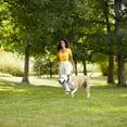 thumbnail image 3 of Rachael Ray Nutrish Natural Premium Dry Dog Food, Real Beef, Pea, & Brown Rice Recipe, 15.4 Lbs, 3 of 9