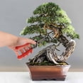 thumbnail image 2 of BambooMN - Heavy Duty Pruning Shear Snip - 1 Piece, 2 of 6