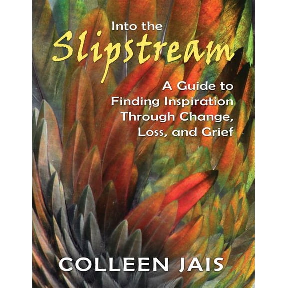 Into the Slipstream: A Guide to Finding Inspiration Through Change, Loss, and Grief