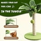 thumbnail image 2 of Cat Scratching Post for Kitten Cute Green Leave Scratching Posts M, 2 of 5